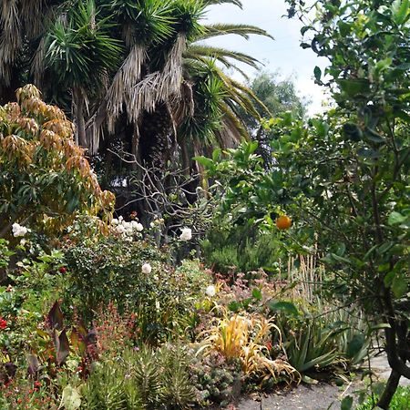 הוילה לוס יאנוס דה אריאדנה La Casita Del Jardinero מראה חיצוני תמונה
