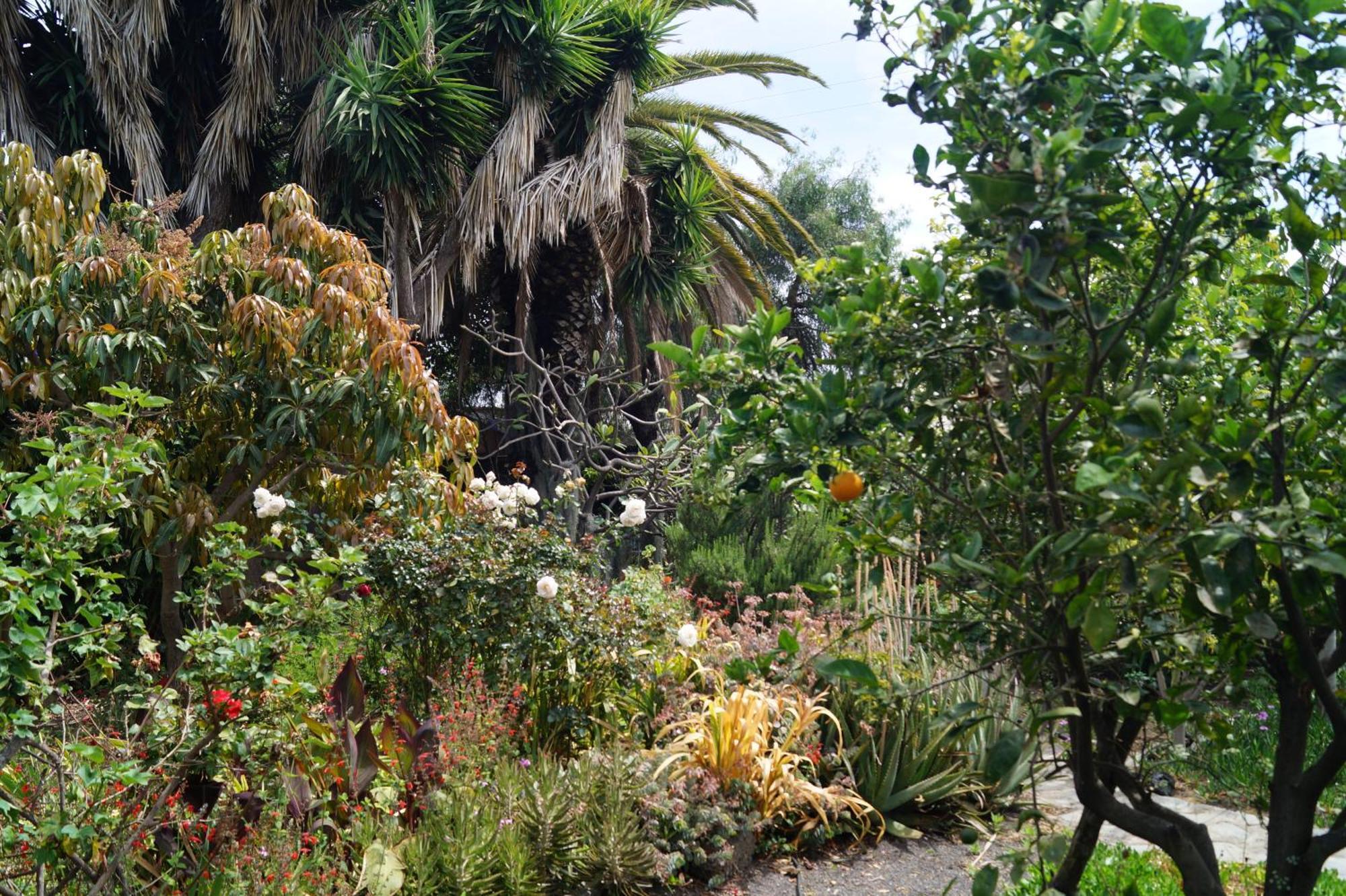 הוילה לוס יאנוס דה אריאדנה La Casita Del Jardinero מראה חיצוני תמונה